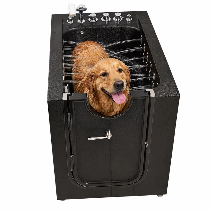 Golden retriever standing in the black walk-in pet tub with water jets running